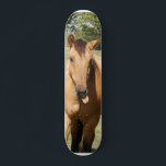 Skateboard cheval aleck intelligent<br><div class="desc">Cheval avec sa langue coincé hors skateboard</div>
