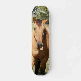 Skateboard cheval aleck intelligent