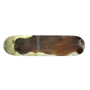 Skateboard Cheval de châtaigne très douce