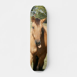 Skateboard cheval futé d'aleck