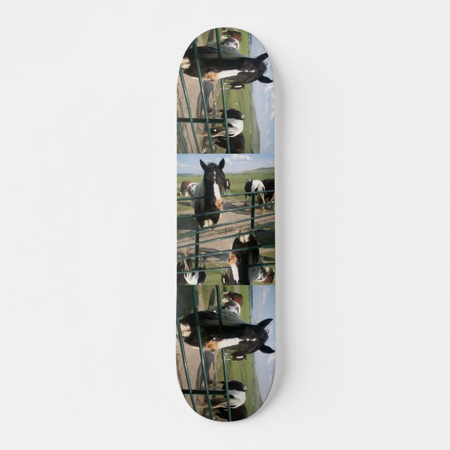 Skateboard Cheval Sk8 fou (Devant)
