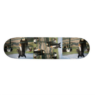 Skateboard Cheval Sk8 fou