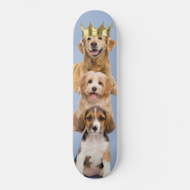 Skateboard Chien appy (Recto)