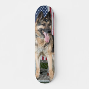 Skateboard Chien berger allemand