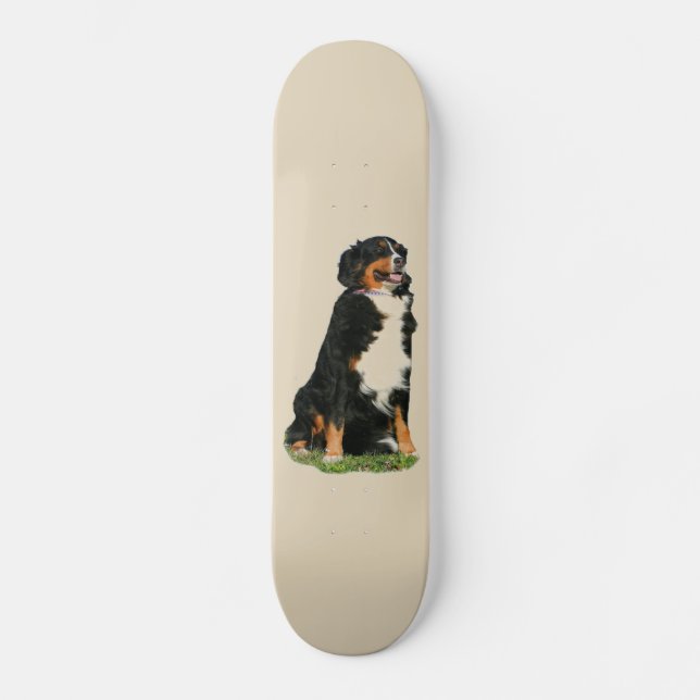 Skateboard Chien de la montagne de Bermese (Recto)