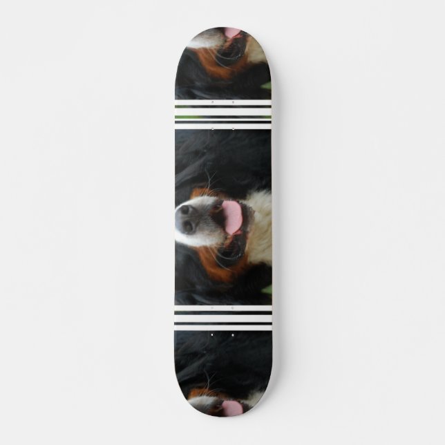 Skateboard Chien de montagne de Bernese de bébé (Devant)