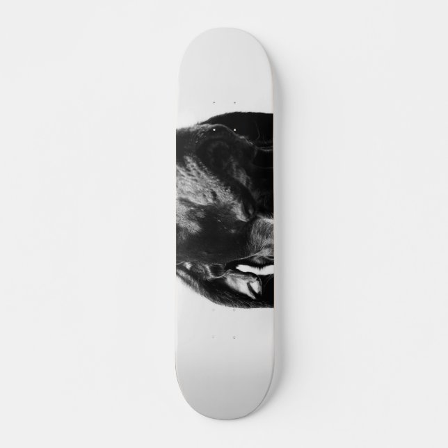 Skateboard chien royal bw (Devant)