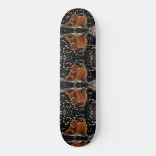 Skateboard Chiens amusants