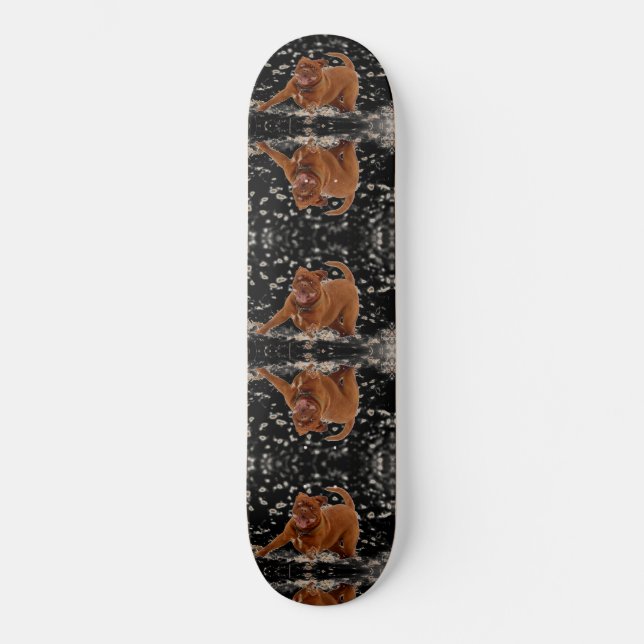 Skateboard Chiens amusants (Recto)