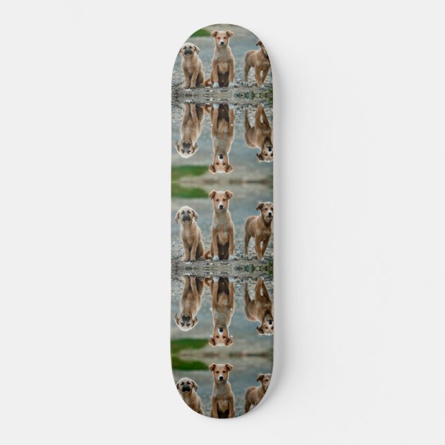 Skateboard Chiens mignons (Recto)