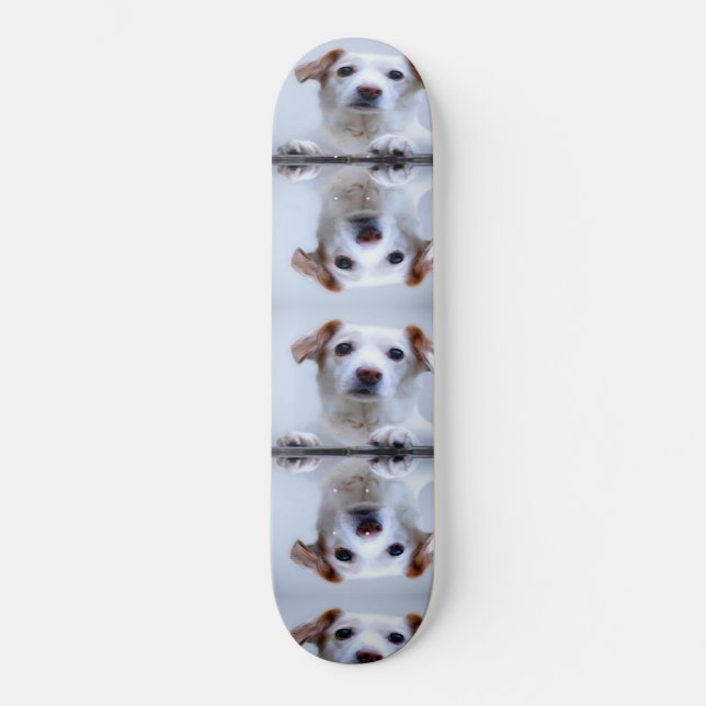 Skateboard Chiens mignons (Recto)