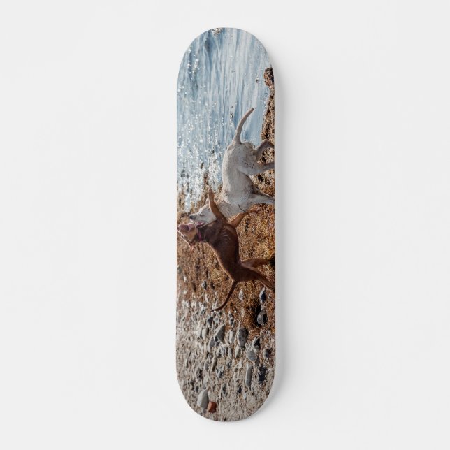 Skateboard Chiens sur la plage (Devant)