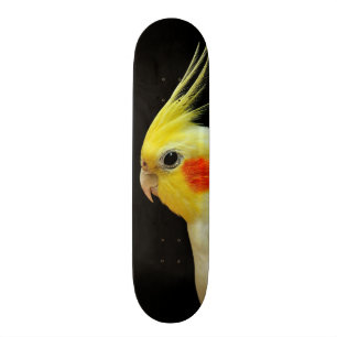 Skateboard Cockatiel de Lutino