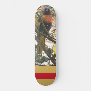 Skateboard Cockatoo-Oiseau de l'arc-en-ciel australien