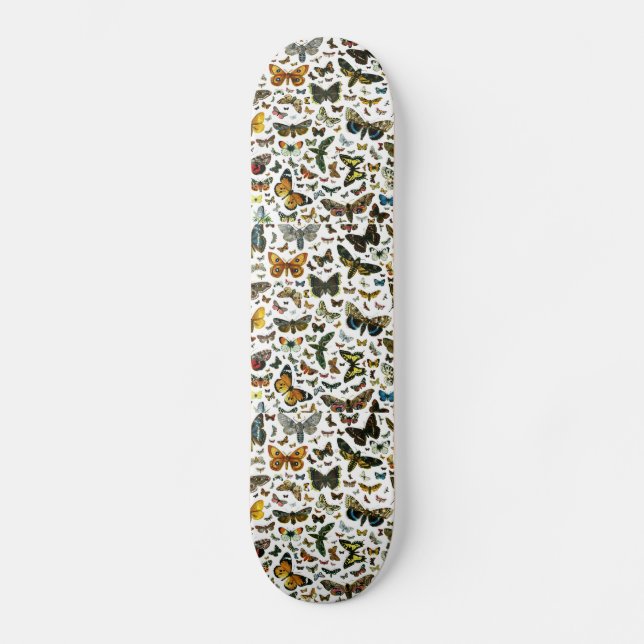 Skateboard Collage des papillons de nuit et des papillons de  (Recto)