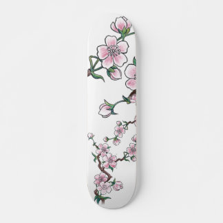 Skateboard Conseil Sakura