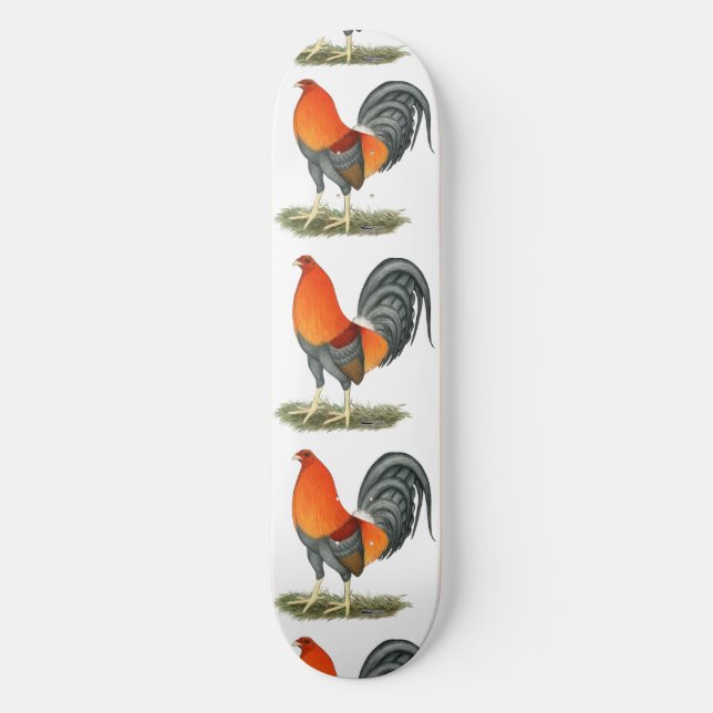 Skateboard Coq de combat bleu rouge (Recto)