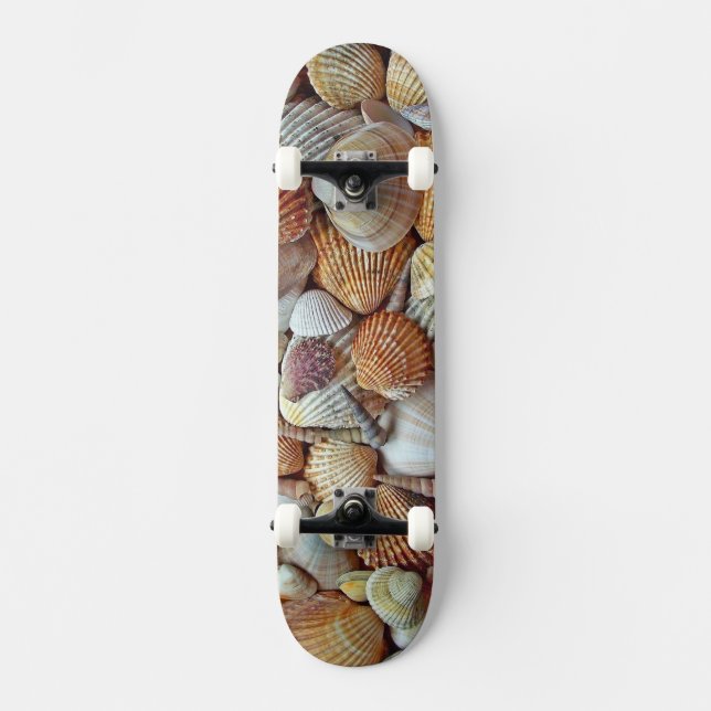 Skateboard Coques de mer (Recto)