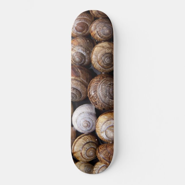 Skateboard Coques des escargots (Recto)