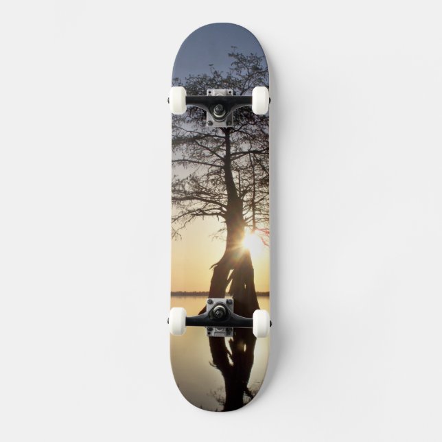 Skateboard Coucher de soleil derrière un arbre (Recto)