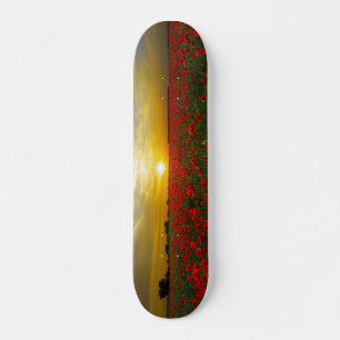Skateboard Coucher de soleil sur le terrain de pavot