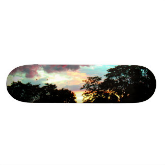 SKATEBOARD COUCHER DU SOLEIL