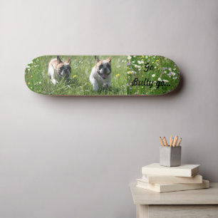 Skateboard Course de chiens français bulldog
