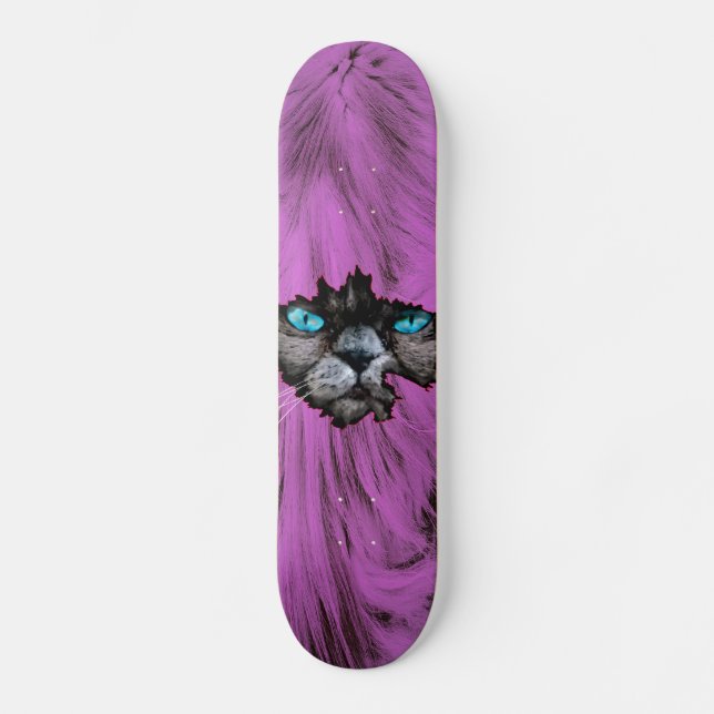 Skateboard Crazy Cat (Recto)