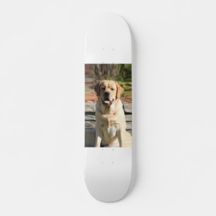 Skateboard Créez votre propre photo de chien animal de compag