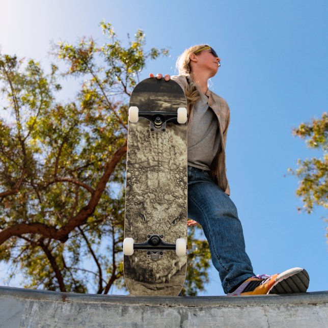 Skateboard Crocodile Vintage (Extérieur 1)