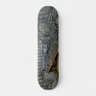 Skateboard Crocodiles