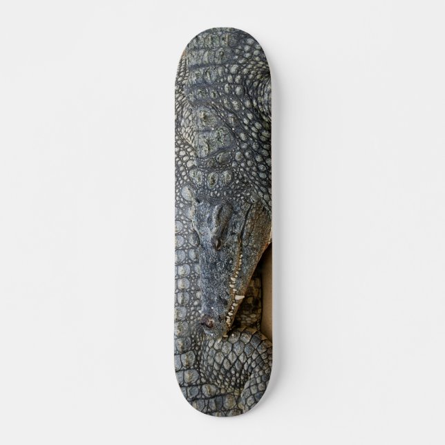 Skateboard Crocodiles (Devant)