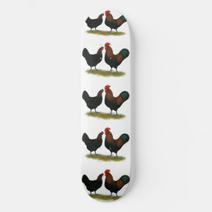 Skateboard Cuivre noir des Marans