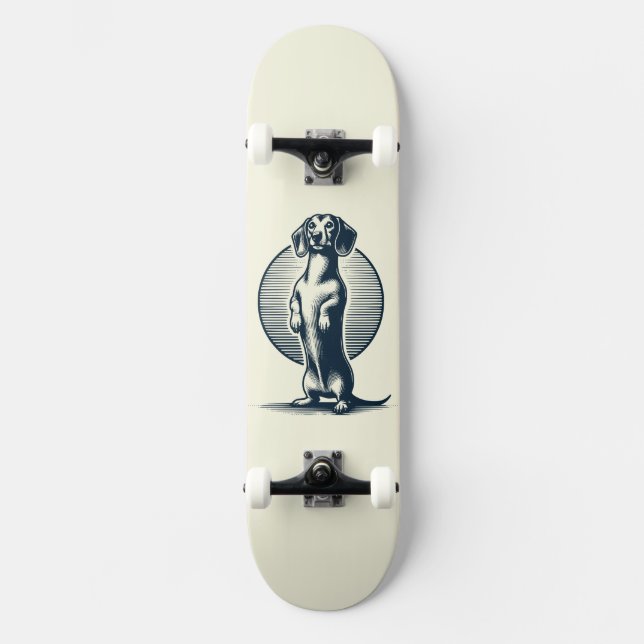 Skateboard Dachshund debout (Recto)