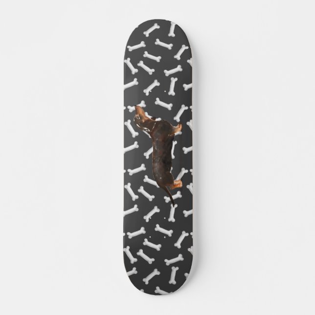 Skateboard Dachshund wiener dog (Devant)