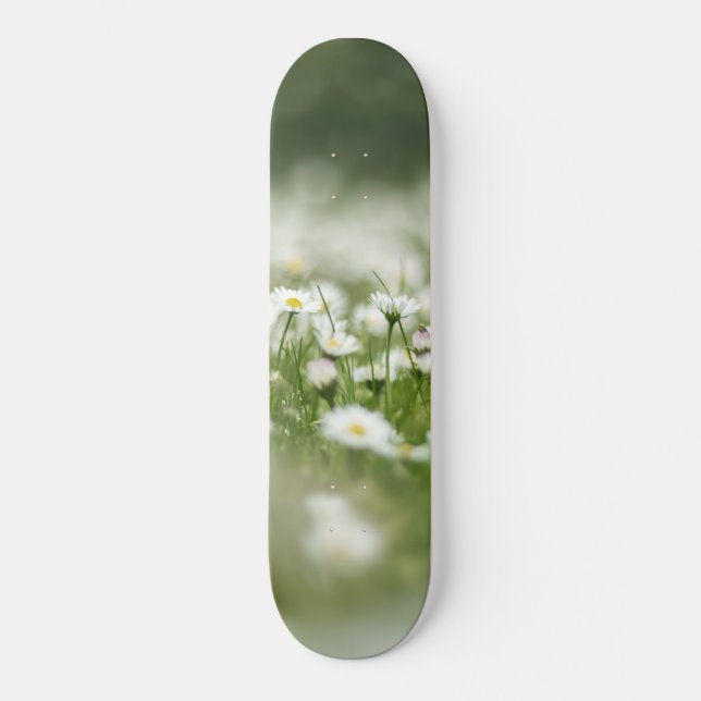 Skateboard Daisy Meadow (Recto)