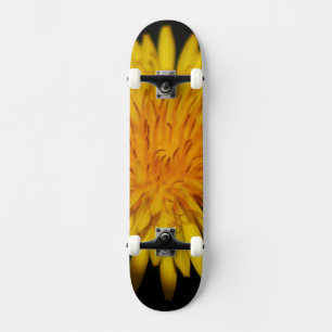 Skateboard Dandelion Flower sdcnm