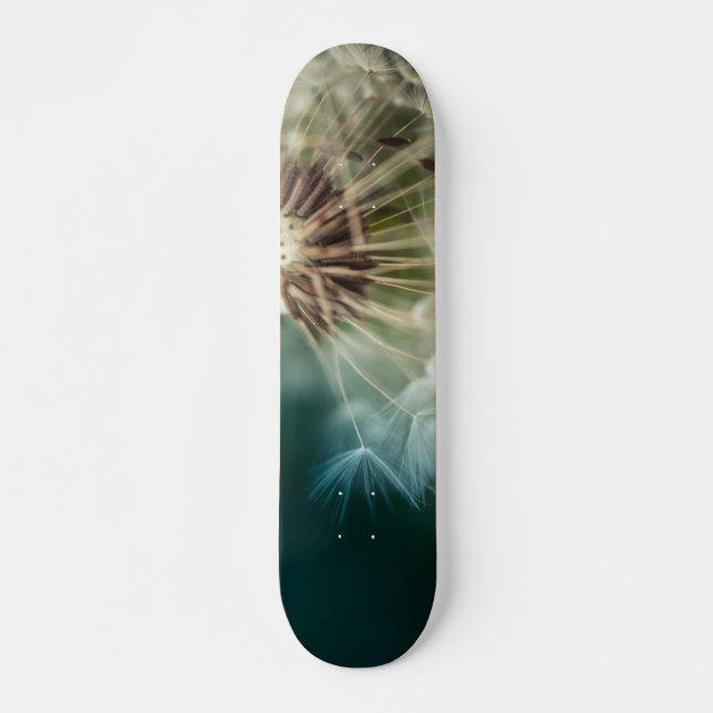 Skateboard - Dandelion Seeds (Devant)