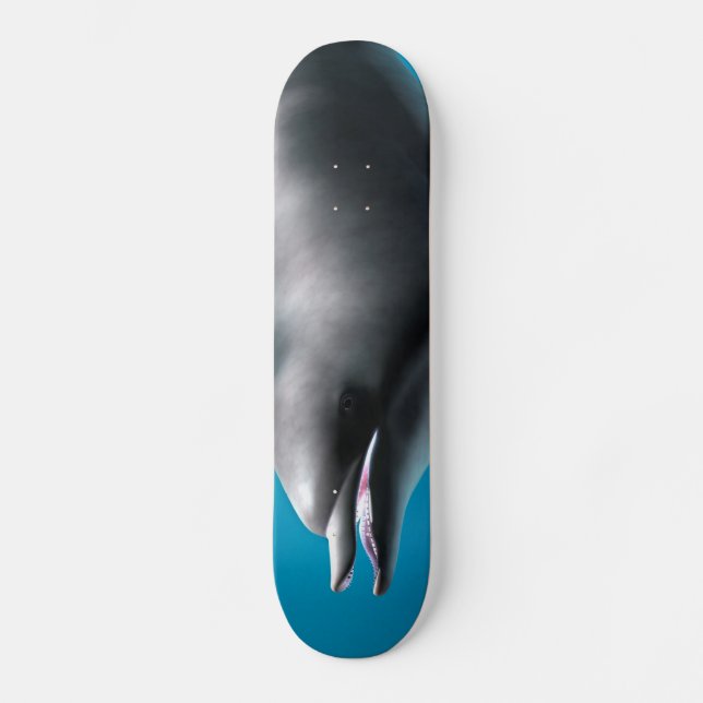 Skateboard Dauphin souriant (Recto)