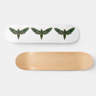 Skateboard Deilephila Nerii - Oleander Hawk-Moth