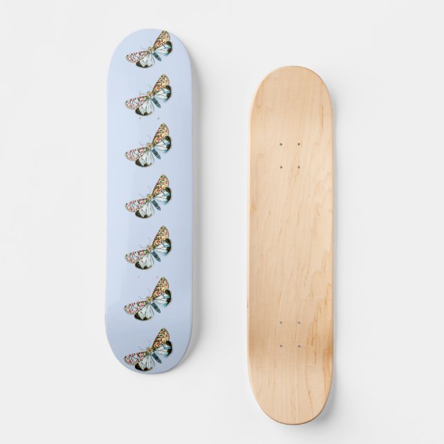 Skateboard Deiopeia pulchella - Flunkey moucheté (Recto)