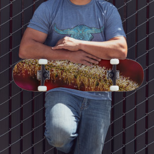 Skateboard Dew du matin