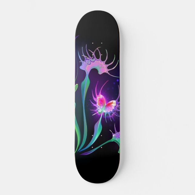 Skateboard Dionaea piège lumineux (Recto)
