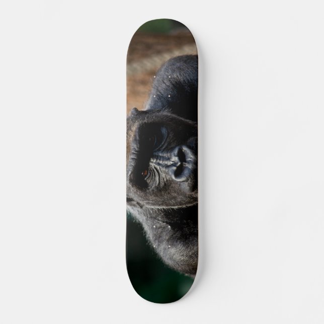 Skateboard Dominant Primate Gorilla Ape (Recto)