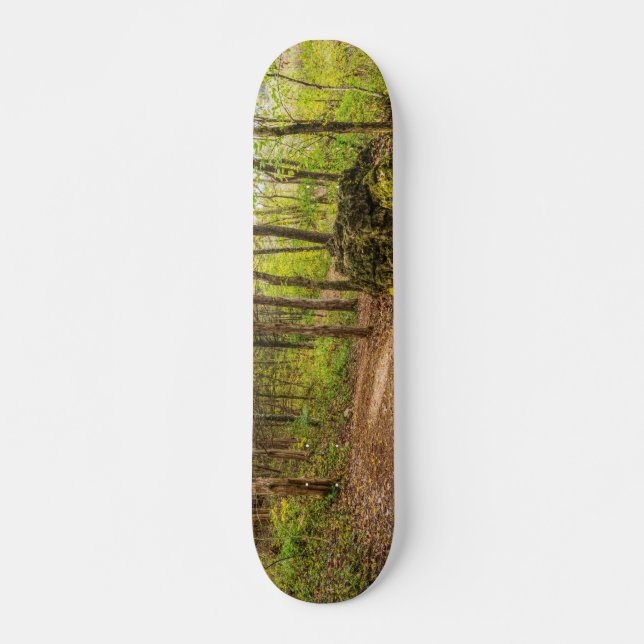 Skateboard Down and Around (Devant)