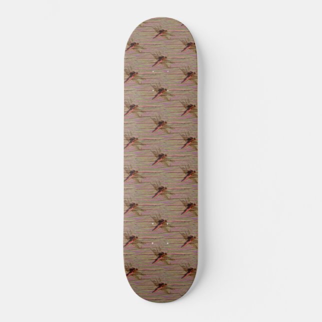 Skateboard Dragonfly (Recto)