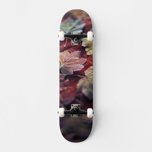 Skateboard É.-U., Nord-Ouest Pacifique. Feuilles d'érable jap (Recto)