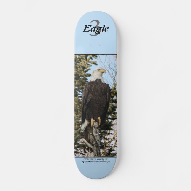 Skateboard Eagle 3 (Recto)