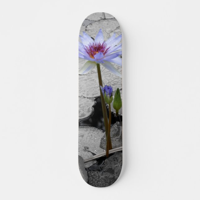 Skateboard Eau Lily Beauté (Devant)