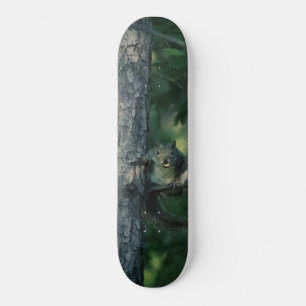 Skateboard Écureuil
